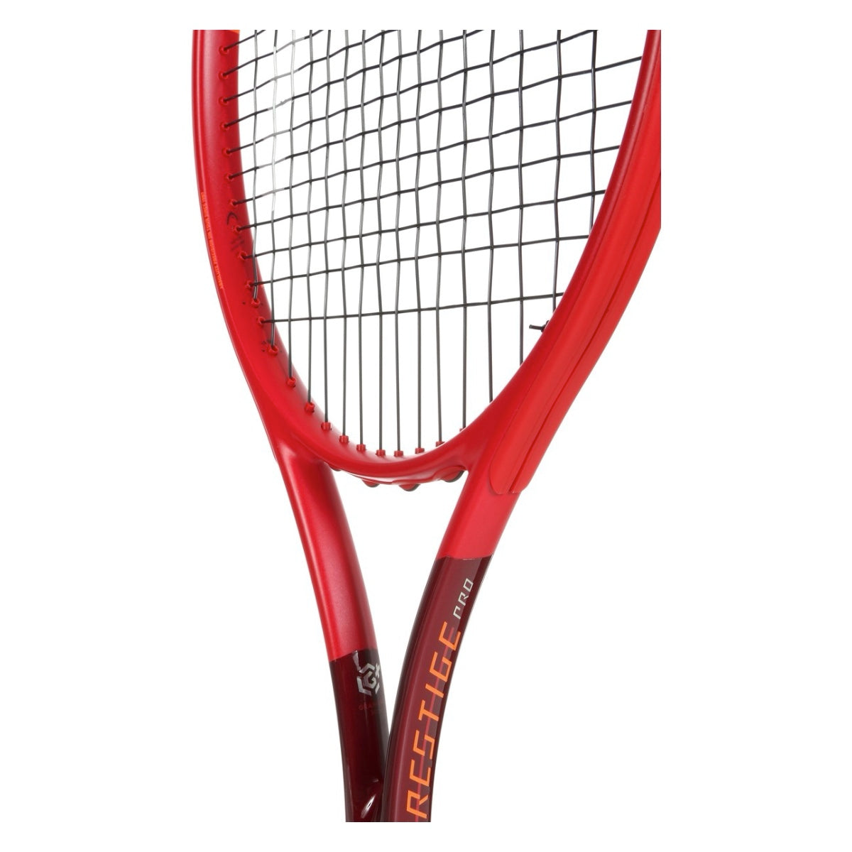 Image11_348b7085-0a94-45c2-